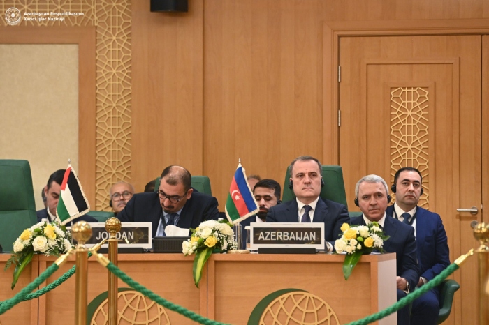   Leiter des Außenministeriums nahm an der außerordentlichen Sitzung des OIC teil  
