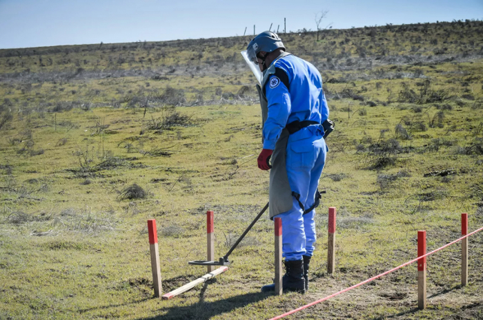  371 artefactos explosivos sin detonar han sido neutralizados en la última semana 