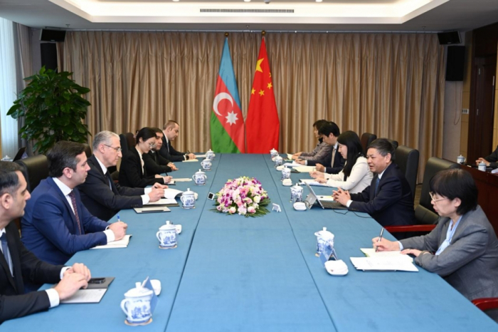 Azerbaijan, China to cooperate in eco-environmental protection