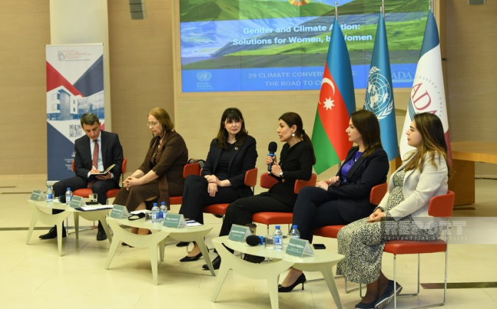   UN-Delegation wird im Rahmen der COP29 Klimaexperten nach Aserbaidschan einladen  