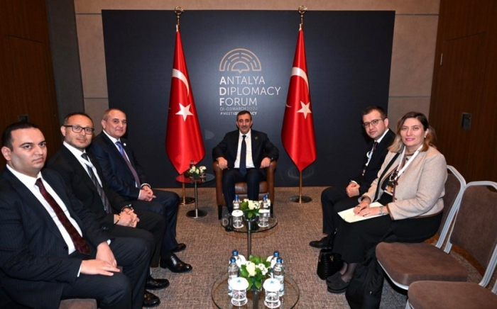 Vizepräsident der Türkei empfing die YAP-Delegation 