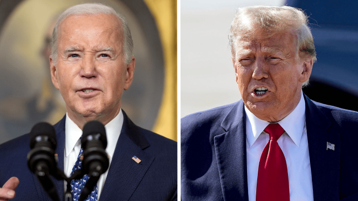 Trump, Biden sweep primary elections in 4 US states