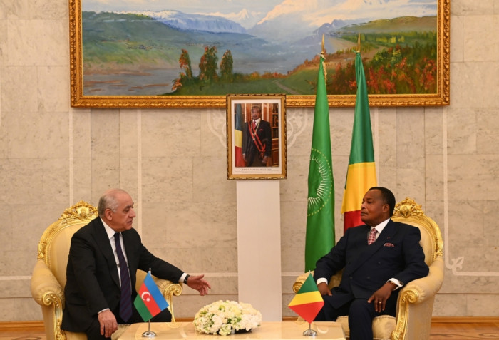El Primer Ministro de Azerbaiyán se reunió con el Presidente del Congo