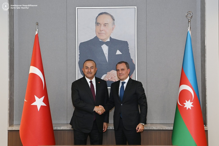 Azerbaijani FM meets head of Turkish Parliament