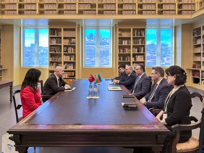   Aserbaidschan prüft Möglichkeiten für eine Zusammenarbeit im Bereich der sozialen Sicherheit mit der Türkei und Moldau  