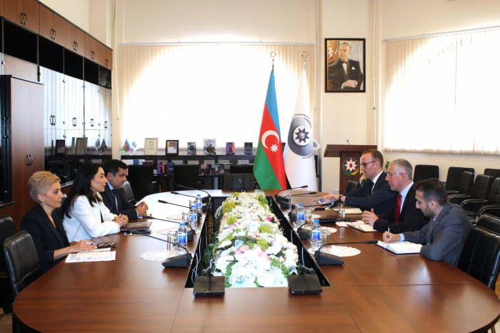 Azerbaijani ombudsperson briefs UK ambassador on Armenian mine terror
