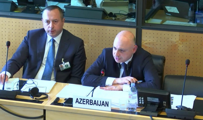 Azerbaijan put particular emphasis on cooperation with relevant UN human rights treaty bodies - MFA