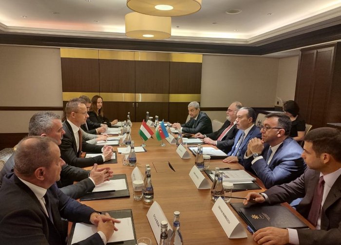   Aserbaidschan und Ungarn halten Treffen zur wirtschaftlichen Zusammenarbeit ab  