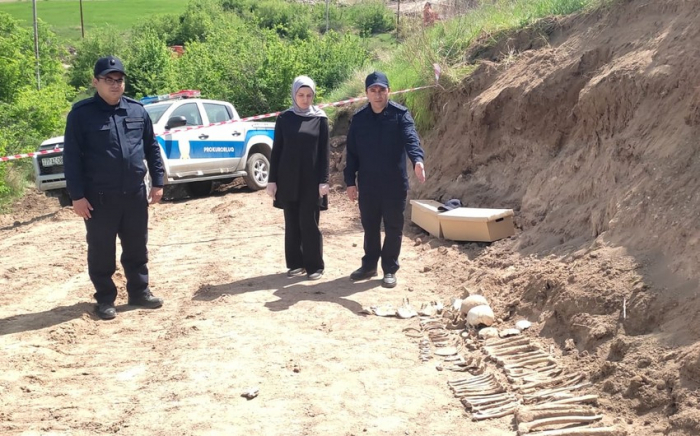   Human remains found in Azerbaijan
