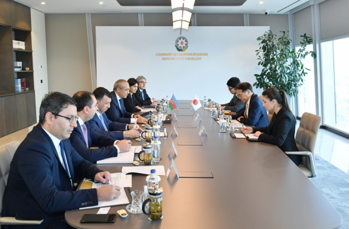 Azerbaijan, Japan explore prospects for economic ties 