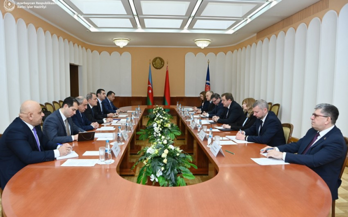   Außenminister Aserbaidschans und Weißrusslands diskutierten über den Ausbau der Zusammenarbeit  