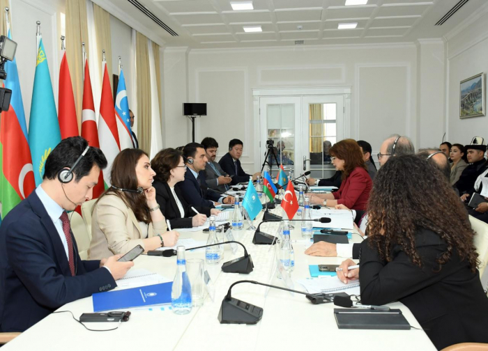 Türk Mədəniyyəti və İrsi Fondunun ilk şura toplantısı baş tutub -    FOTOLAR   