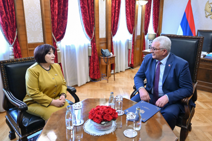 Azerbaijan, Montenegro discuss interparliamentary cooperation