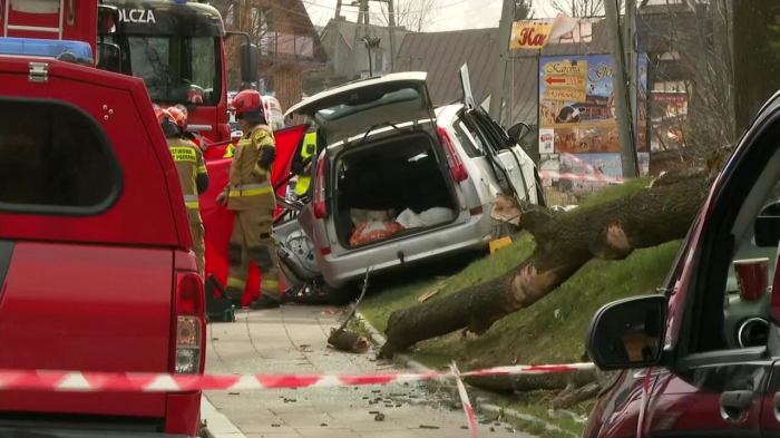    Polşada ağacların aşması nəticəsində 5 nəfər ölüb   