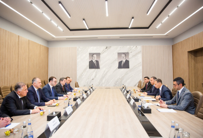 Azerbaijan, Georgia discuss cooperation in transport and ICT sectors