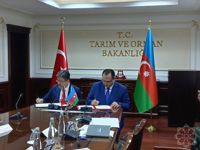 Azerbaiyán y Türkiye debaten las perspectivas de cooperación agrícola