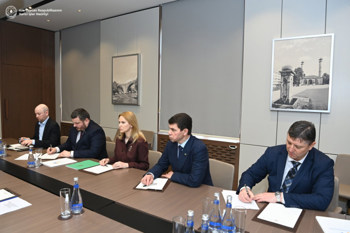   Aserbaidschanischer Außenminister und ukrainische Abgeordnete diskutieren regionale und internationale Sicherheitsfragen  