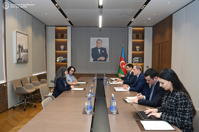 Azerbaijani FM briefs ASEAN IPA