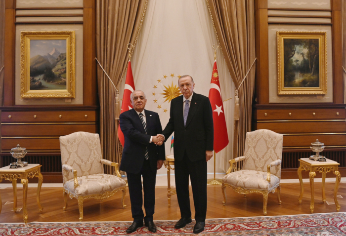 Azerbaijani PM Ali Asadov meets with Turkish President Recep Tayyip Erdogan