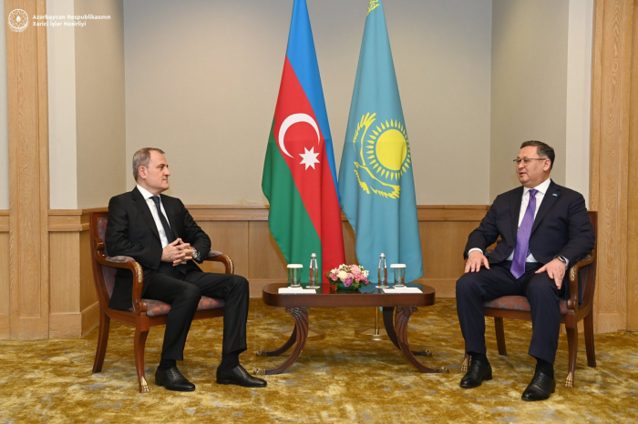   COP29 represents new platform for cooperation, Azerbaijani FM says  