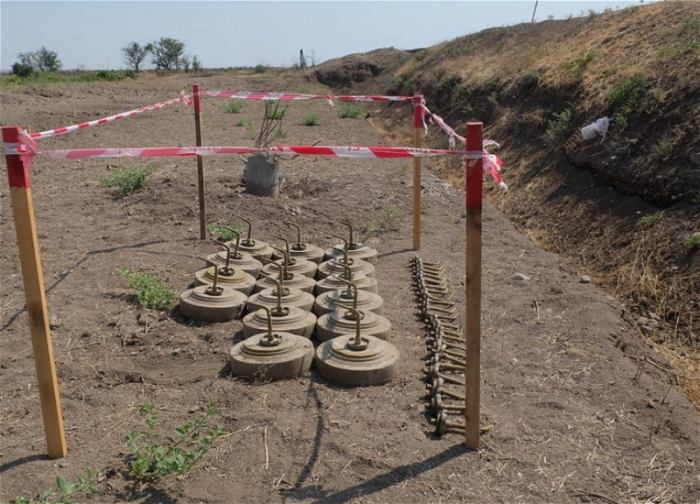   Zahl der letzte Woche in den befreiten Gebieten entdeckten Minen wurde bekannt gegeben  