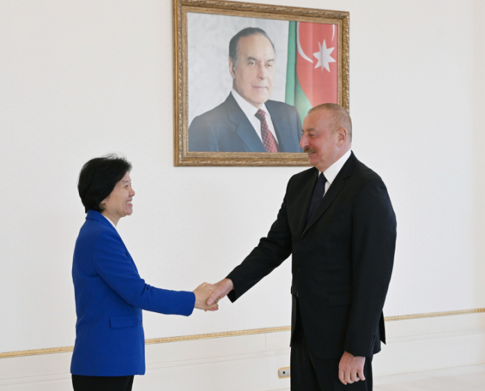 President Ilham Aliyev receives delegation led by China