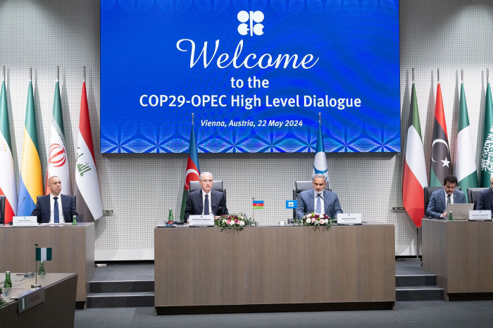   OPEC chief says relations with Azerbaijan experience golden era  