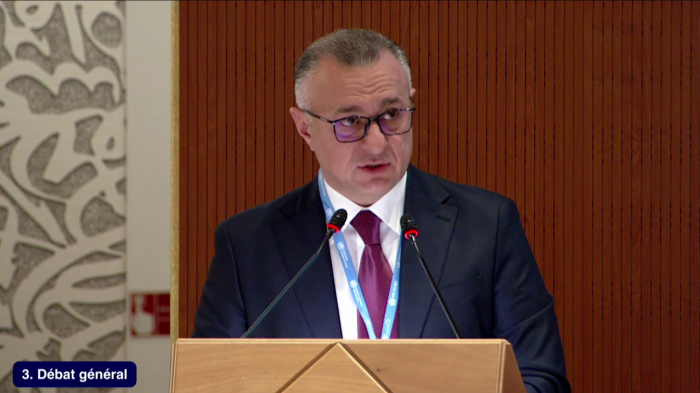 Azerbaijani minister highlights climate, health initiatives ahead of COP29 at World Health Assembly