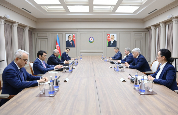 Azerbaijani PM meets with Governor of Russia