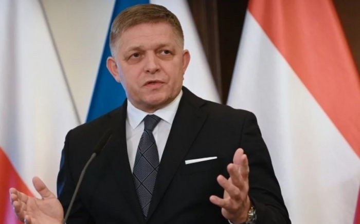 Slovak PM Fico released from hospital