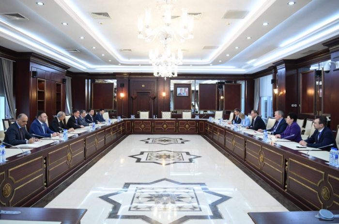 Deputy Speaker of Russian Parliament visits Azerbaijani Milli Majlis