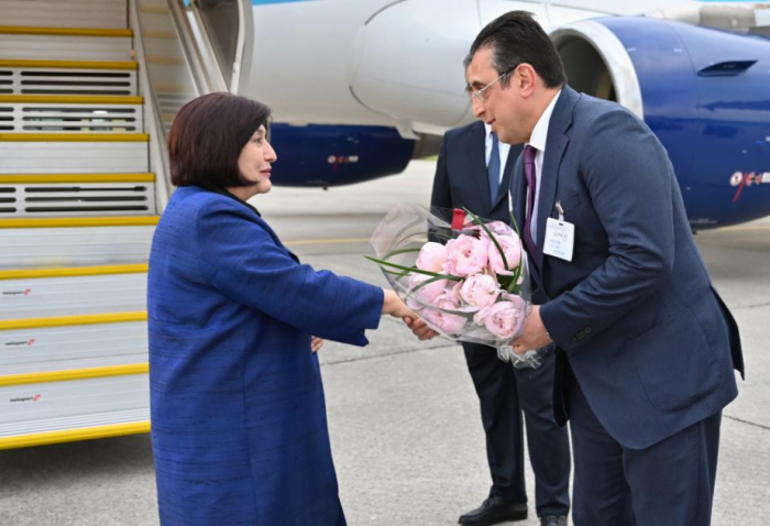 Azerbaijan’s parliament speaker arrives in Switzerland 