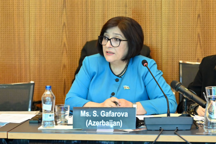 Azerbaijani parliament speaker highlights challenges in ensuring gender quality at Geneva conference