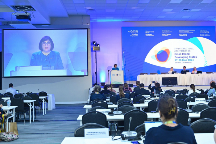 Azerbaijan’s parliament speaker attends 4th Int’l Conference on Small Island Developing States -   PHOTO  