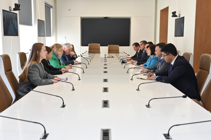 Azerbaijani parliament speaker briefs UN Geneva