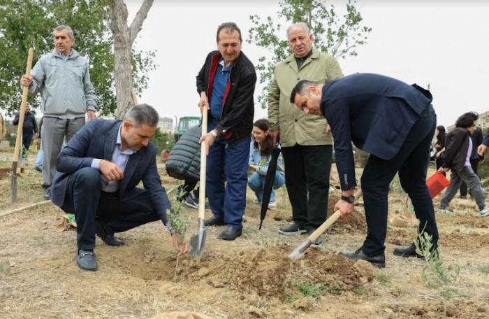 “Zeytun bağları”ndan beynəlxalq elmi konfransa dəstək 