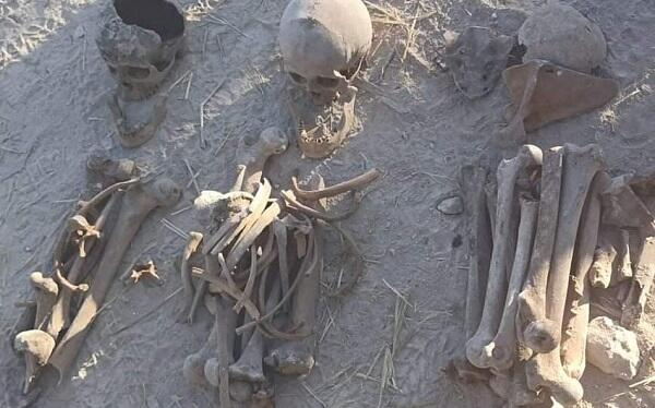  Se encontraron huesos humanos en Sugovushan 