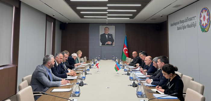 Azerbaijani, Georgian foreign ministries hold political consultations