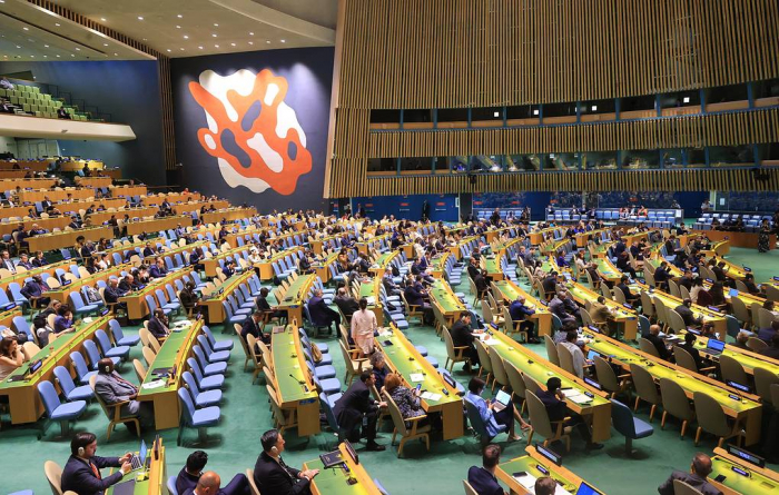 UN General Assembly elects new non-permanent Security Council members for 2025-2026