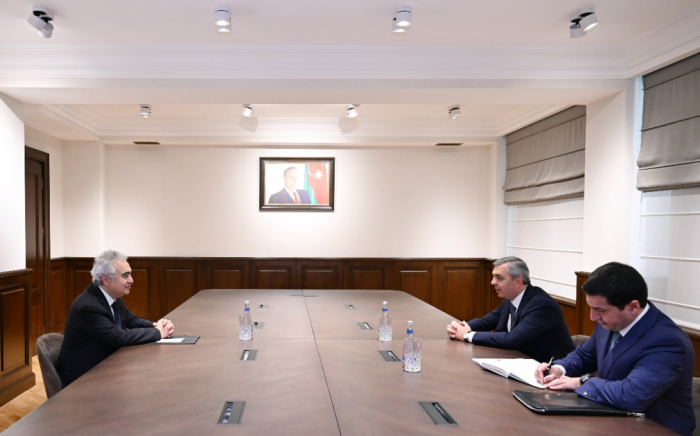 Head of Azerbaijani Presidential Administration meets with IEA Executive Director