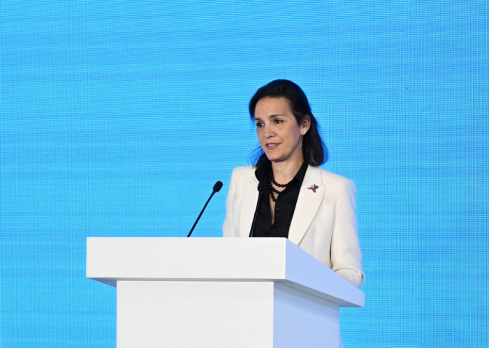 EU needs to adapt its internal energy infrastructure - directorate-general