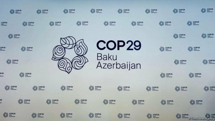 Upcoming COP29 in Azerbaijan will be great success: GECF chief 