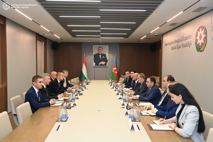   Azerbaijani, Hungarian FMs hold expanded meeting in Baku   