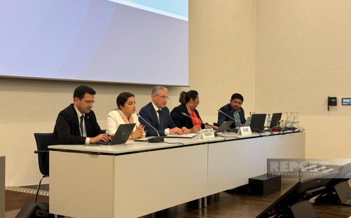   COP29 President-designate meets with AOSIS representatives   