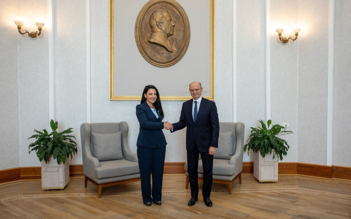   Aserbaidschan und Albanien besprechen Kooperationsprioritäten  