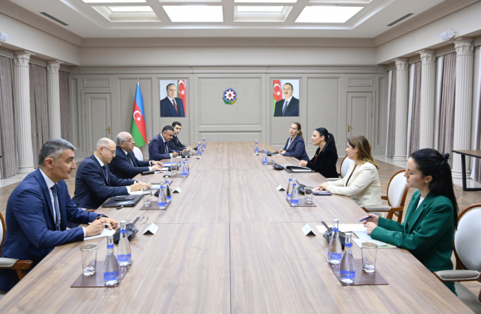  El Primer Ministro de Azerbaiyán se reunió con la Viceprimera Ministra de Albania 