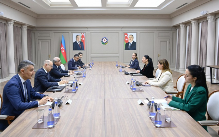   Aserbaidschanischer Premierminister trifft sich mit albanischem Vizepremier  