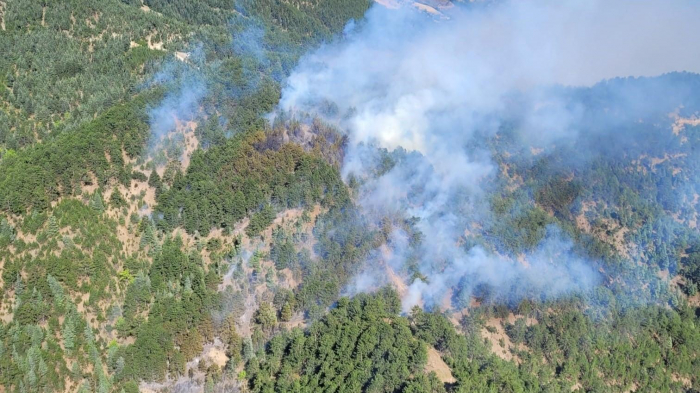 Fire outbreaks in five provinces of Türkiye brought under control
