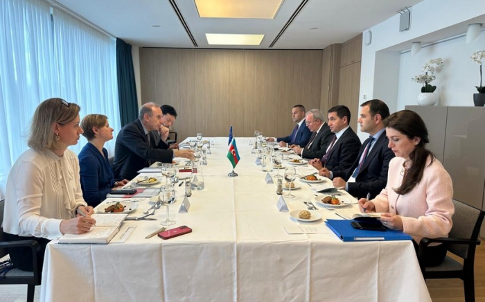   5. Runde des Sicherheitsdialogs zwischen Aserbaidschan und der EU fand statt  