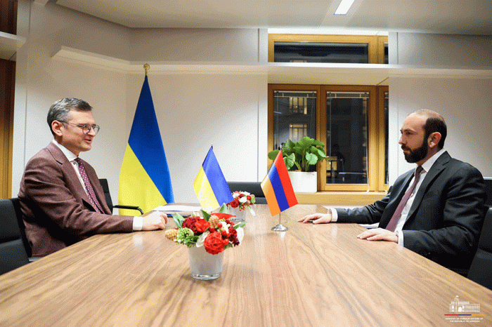 Ukrainian, Armenian FMs discuss situation in S. Caucasus